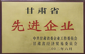 先進企業